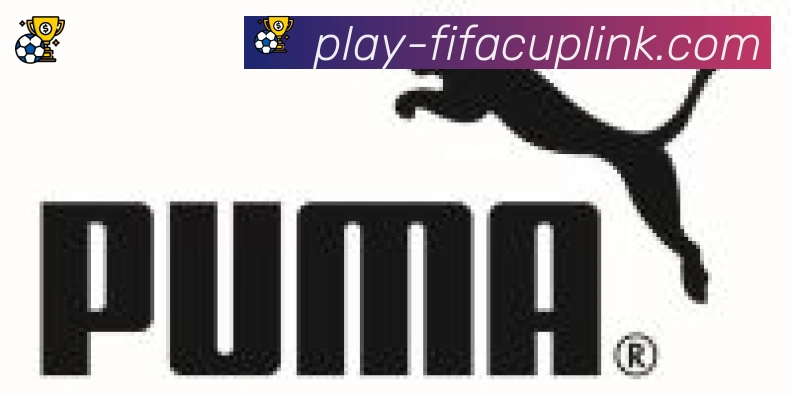 FIFA世界杯赛事官方网站合作伙伴